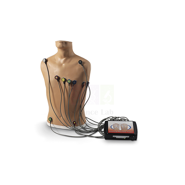 15-Lead ECG Placement Trainer